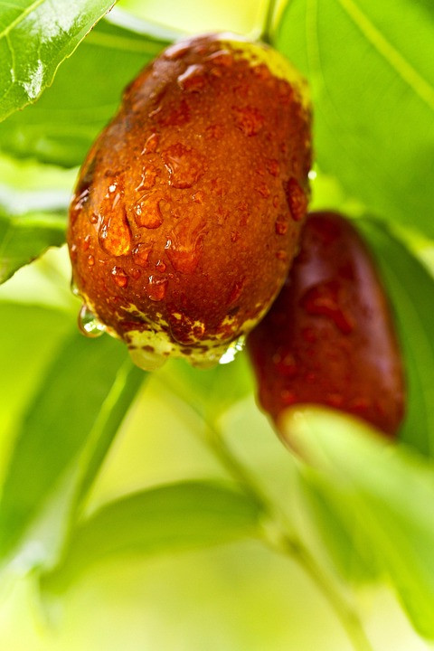 שישה טיפים חכמים לשמור שהלחץ הכלכלי לא יזהם את הקשר שלכם