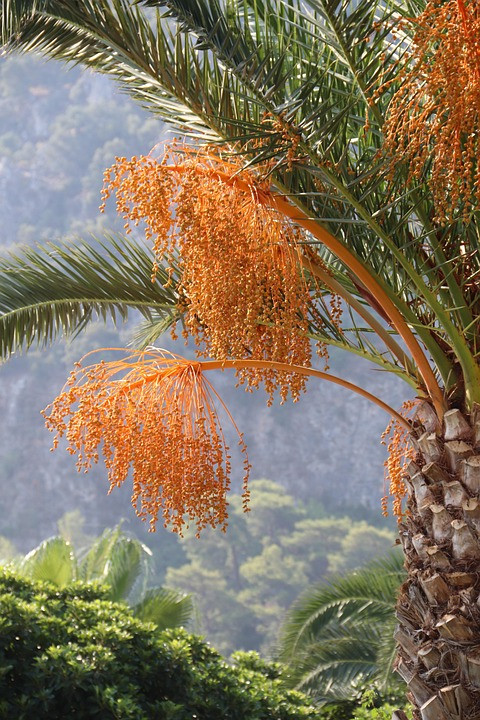 50 דרכים קלות ומהנות להוסיף יותר מין לחיים שלך