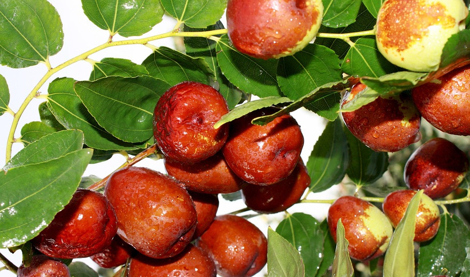 מחקר חושף את הדברים המצחיקים והמפתיעים שמרגשים אותנו