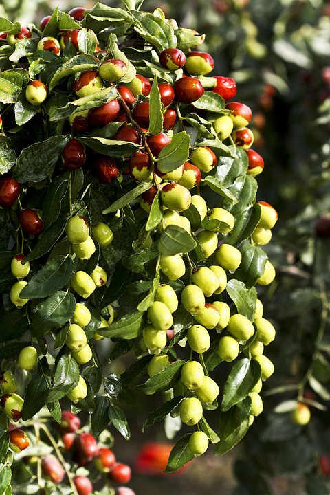 תודה, טינדר, שהשעית קנאים לצמיתות מהאפליקציה