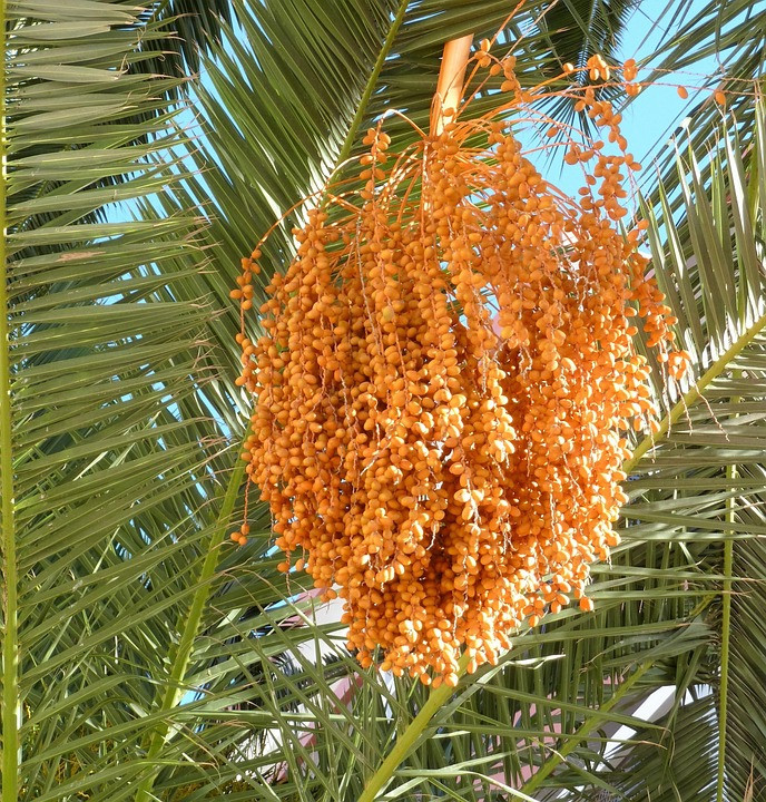 הטיפ היחיד שיגרום להרגיש קרובה יותר ולהימנע מאכזבה ביום האהבה